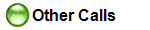 Other Calls